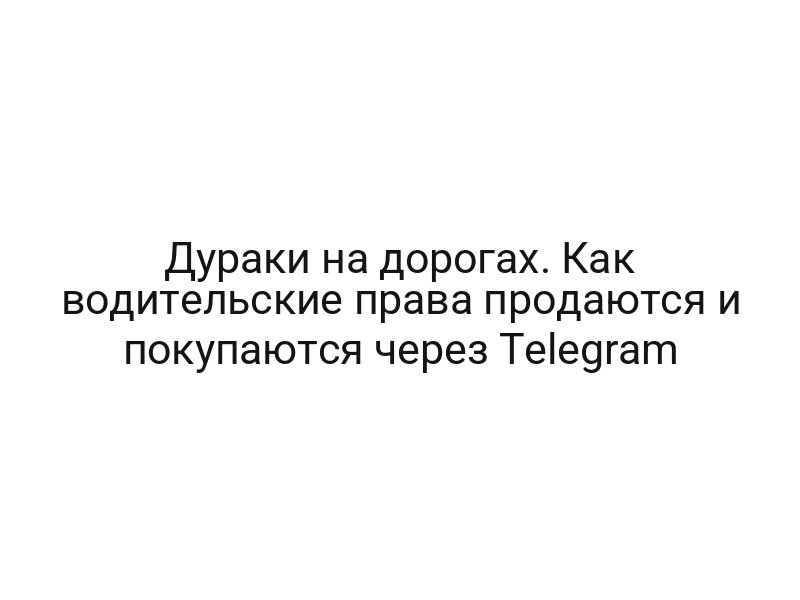 Дураки на дорогах. Как водительские права продаются и покупаются через Telegram