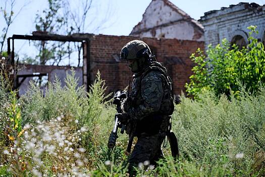 На Украине забили тревогу из-за планов ВС России в Донецкой области