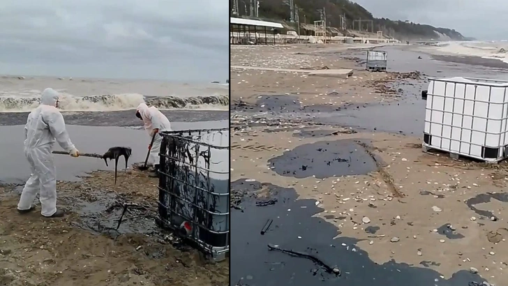 Мазутный прибой: как в Туапсе справляются с необъявленной экологической катастрофой