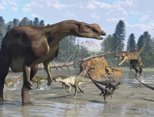 Привередливый едок с отличным обонянием: раскрыты секреты австралийского динозавра