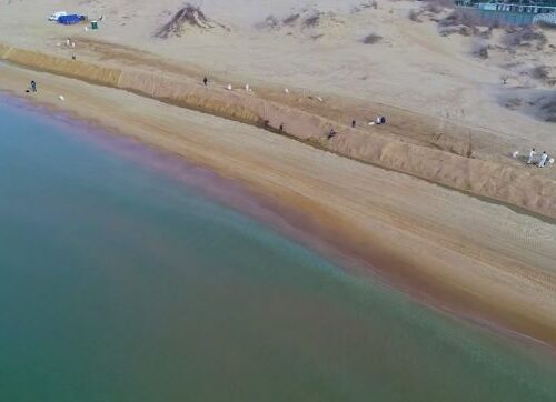 Путину пообещали: Анапа, пострадавшая от мазута, примет туристов уже в этом году