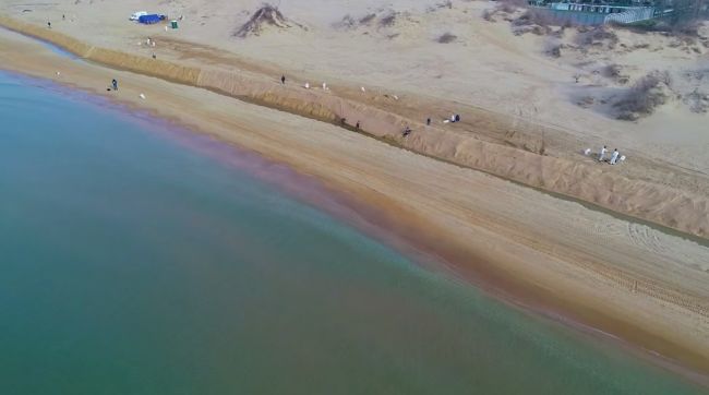 Путину пообещали: Анапа, пострадавшая от мазута, примет туристов уже в этом году