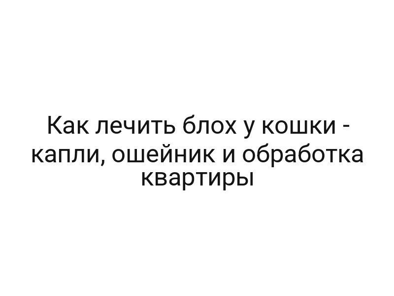 Как лечить блох у кошки — капли, ошейник и обработка квартиры