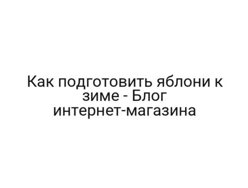 Как подготовить яблони к зиме — Блог интернет-магазина