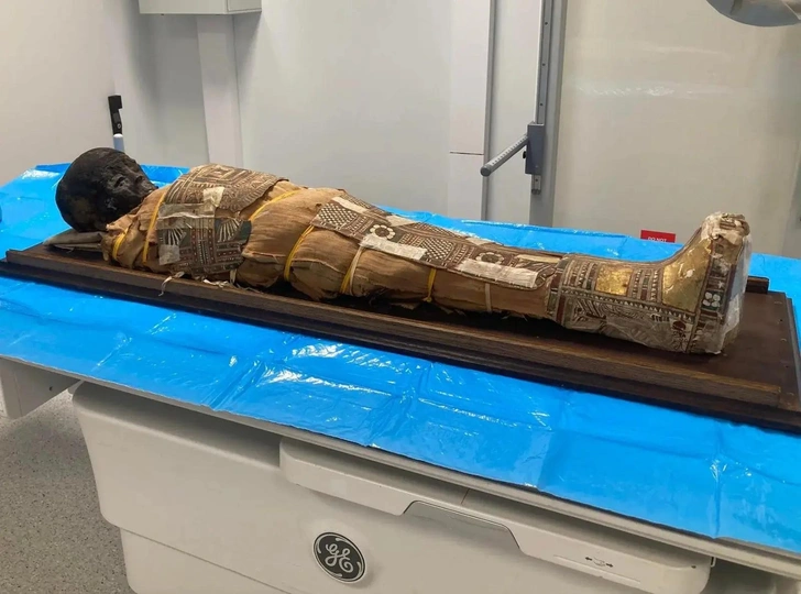 В груди 8-летнего мальчика из Древнего Египта нашли загадочный предмет. Достать не могут — рассыплется
