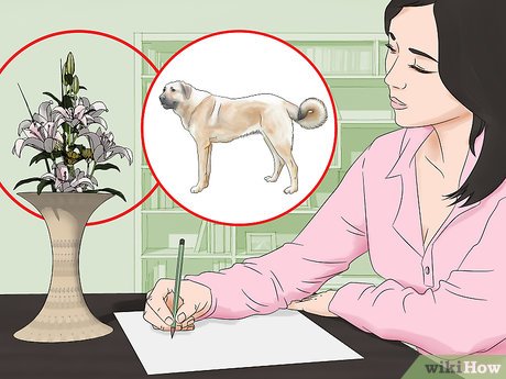 Как самостоятельно научиться рисовать: 12 шагов