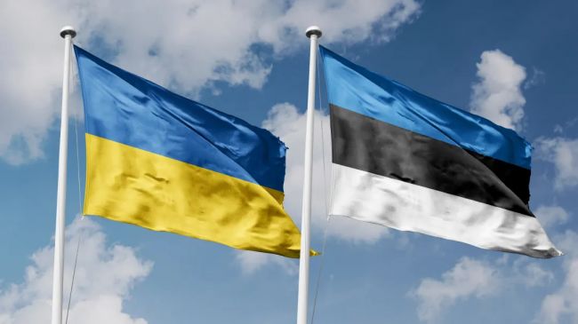 Эстония вынудила Киев извиниться за сбитый над своей территорией украинский дрон