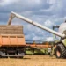 Нам выгоднее продавать картошку в столовые: почему фермеры в России не хотят выращивать хлеб