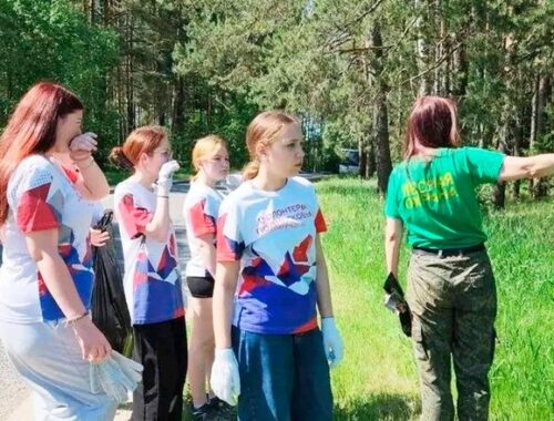 В Егорьевске Московской области провели акцию «Чистый лес»