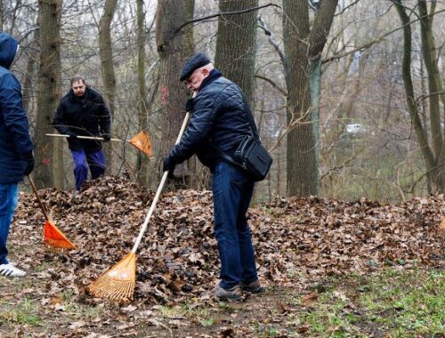 В Купчинском сквере Санкт-Петербурга прошел субботник