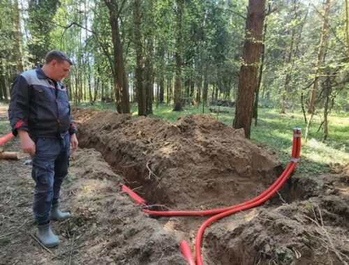 В подмосковном Дедовске стартовало благоустройство лесопарка «Массовка»