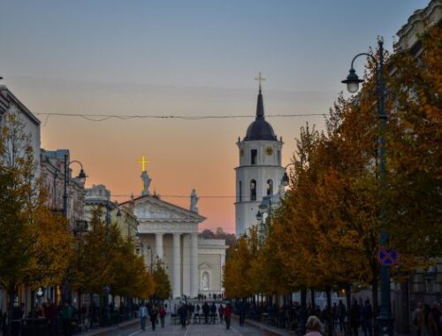 В Литве отказались предоставлять территорию страны для пролета украинских дронов