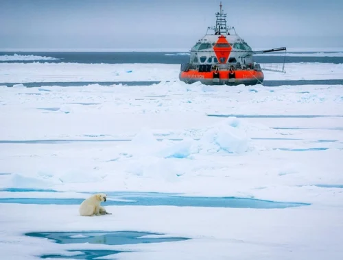 12 человек добровольно «застрянут» на восемь месяцев в арктических льдах — всё ради науки