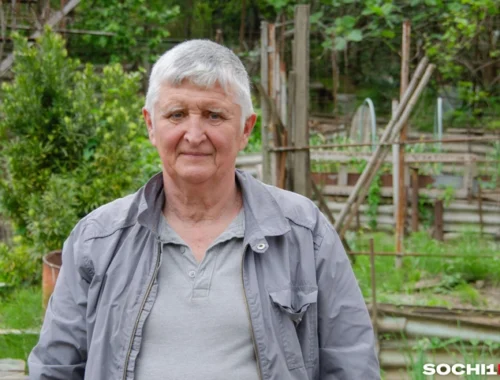 «Там мой отец в 70-х трубу от оползня проложил»: у пенсионера из Сочи хотят изъять огород под дорогу