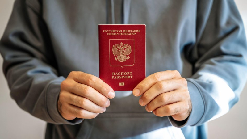 Как проверить паспорт на действительность: способы проверки и признаки подделки