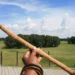 Не тем оружием: ученые пересмотрели историю охоты на мамонтов
