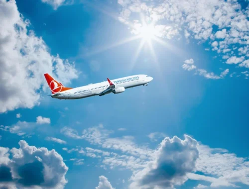 В аэропорту Внуково задерживаются десятки рейсов Turkish Airlines: некоторые вылеты перенесли на 12 часов