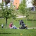 В Курганской и Новосибирской областях ожидается аномальная жара до +37 градусов