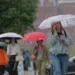 В Москве и Подмосковье объявили жёлтый уровень опасности из-за грозы и ветра