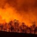 Во Франции сгорел целый город, пока пожарные спасали виллы звезд по соседству
