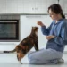 Милые ролики с котами могут скрывать страдания животных: ученые выяснили, что 82% кошек в «милых» видео испытывают стресс