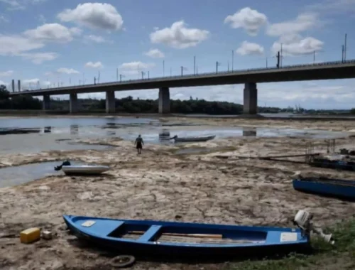 На берегу Дуная нашли останки молодого мамонта, скрытые под водой со времен ледникового периода