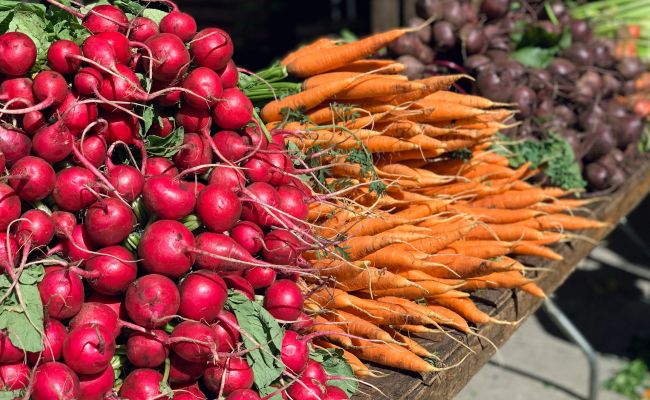 Один важный для России продукт подешевел почти на 30%