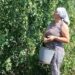 В лесничествах Воронежской области стартовал сбор семян березы