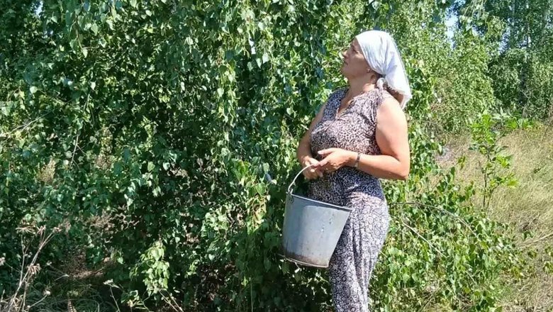 В лесничествах Воронежской области стартовал сбор семян березы